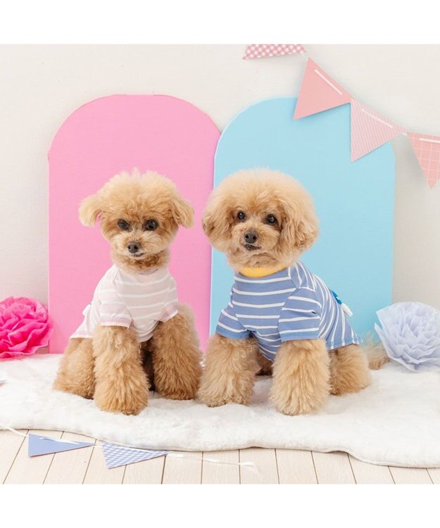 PET PARADISE ディズニー デイジーダック 手つなぎＴシャツ 接触冷感 小型犬 ピンク