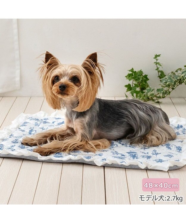 PET PARADISE ペットパラダイス クールマット 《トワルドジュイ柄》 Ｓ ホワイト×ブルー
