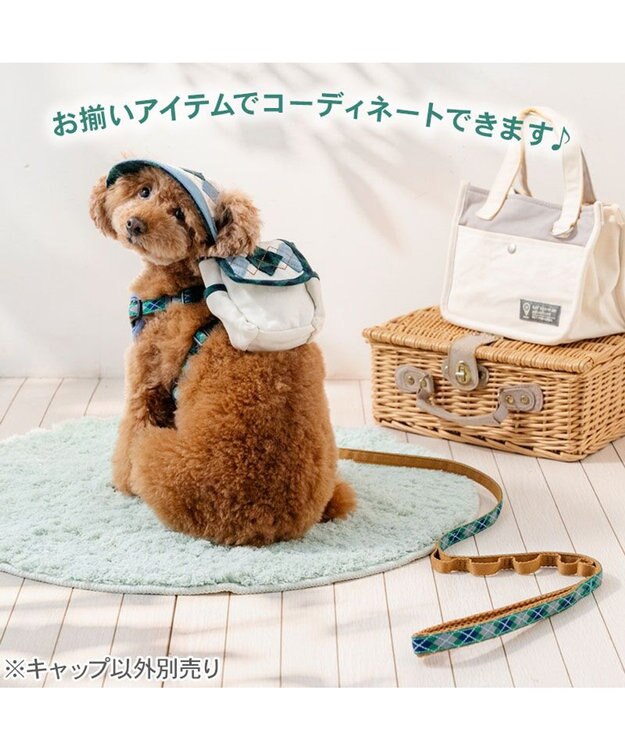 PET PARADISE ペットパラダイス アーガイル柄 帽子 ４Ｓ～３Ｓ/ＳＳ～Ｓ ライトインディゴブルー