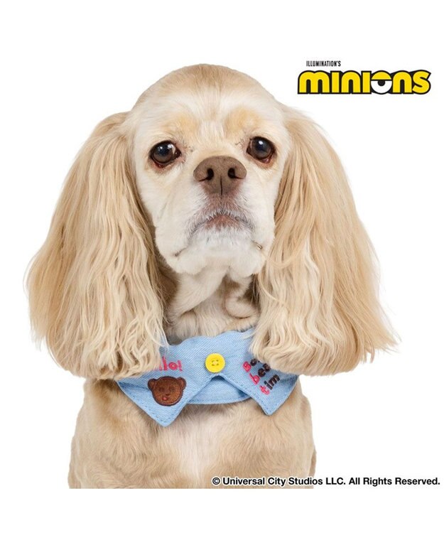 PET PARADISE ミニオン デニム襟付き首輪 ＳＭ 中型犬 ブルー