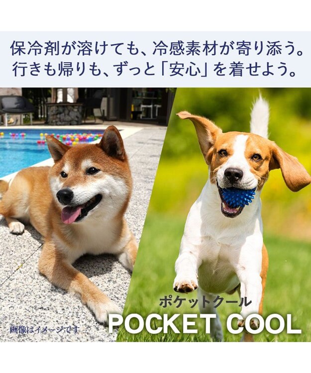 PET PARADISE ディズニー トイ・ストーリー エイリアン お顔 ポケットクール タンクトップ 小型犬 グリーン