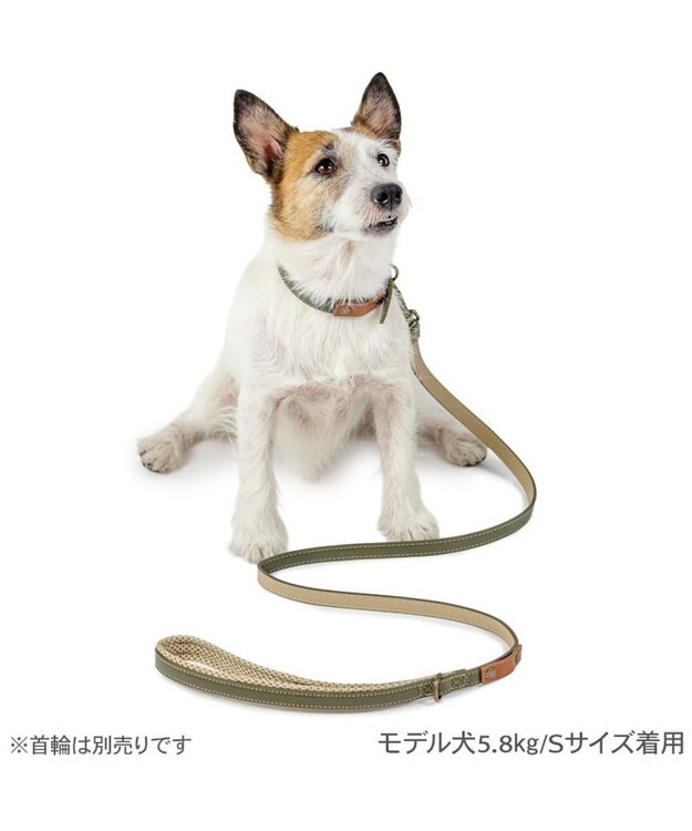 PET PARADISE ペットパラダイス 合皮 リード 《カーキ》 小型犬 SS～S カーキ
