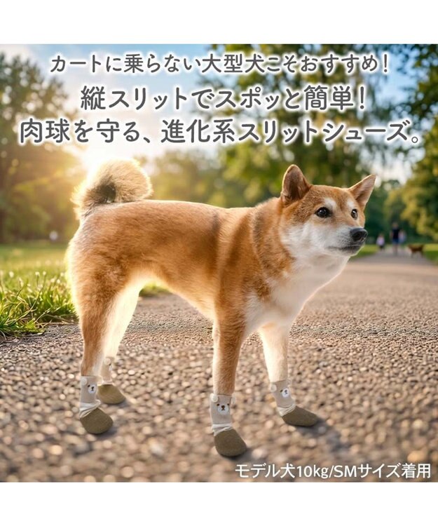 PET PARADISE ペットパラダイス くまちゃん スリットシューズ ＳＭ ブラウン