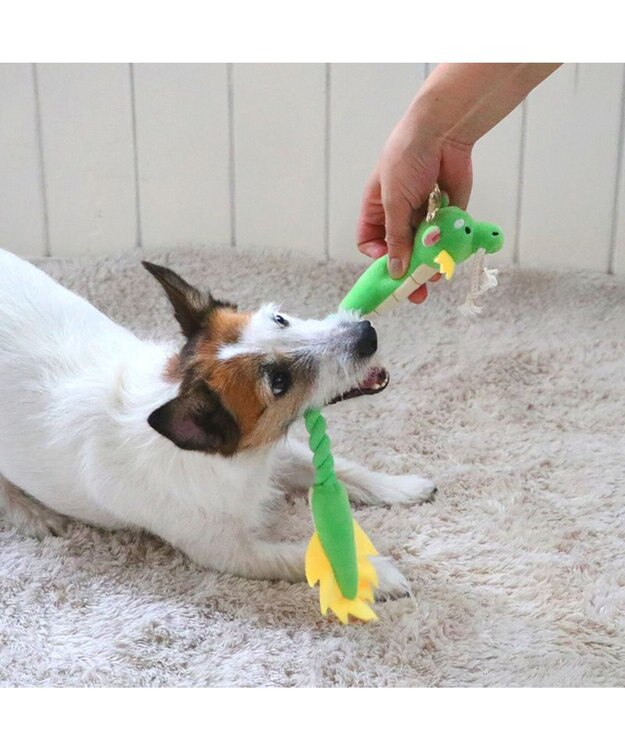 PET PARADISE ロープトイ 干支おもちゃ 辰 緑