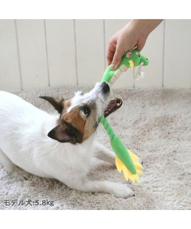 PET PARADISE ロープトイ 干支おもちゃ 辰 緑