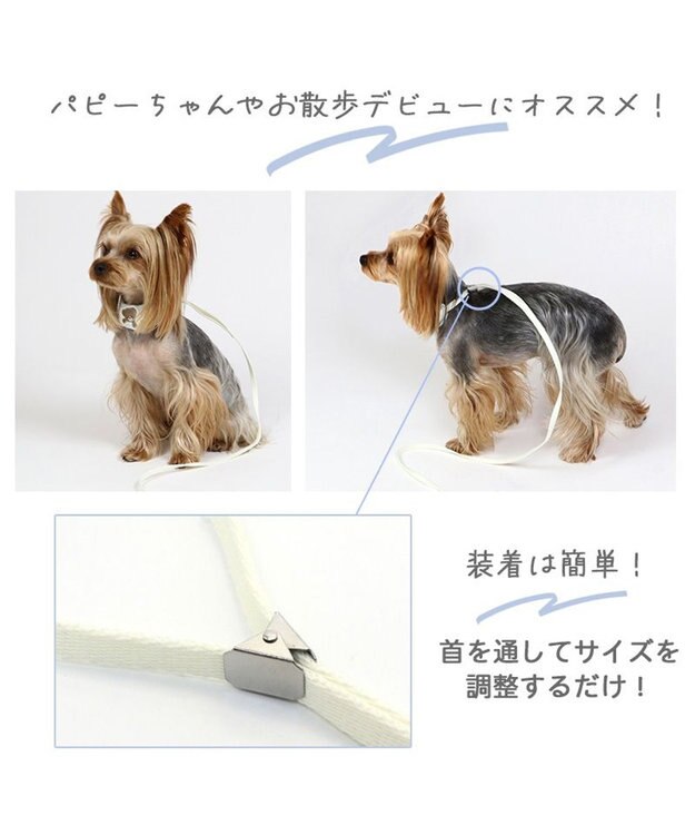 PET PARADISE 犬 首輪 リード付き 【４Ｓ~ＳＳ】 くまちゃん 白~オフホワイト