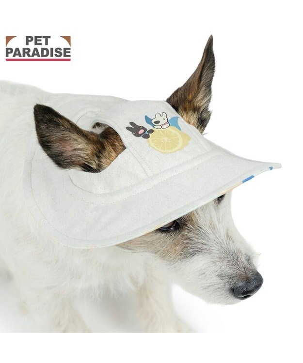PET PARADISE リサとガスパール シトラス リネン 帽子 ４Ｓ～３Ｓ/ＳＳ～Ｓ 小型犬 ベージュ