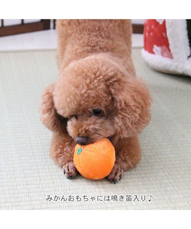 PET PARADISE ペットパラダイス キルトこたつハウス 50cm 赤