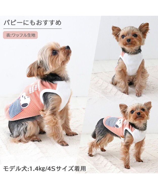 PET PARADISE スヌーピー やさしいベスト リバーシブル 小型犬 コミック柄