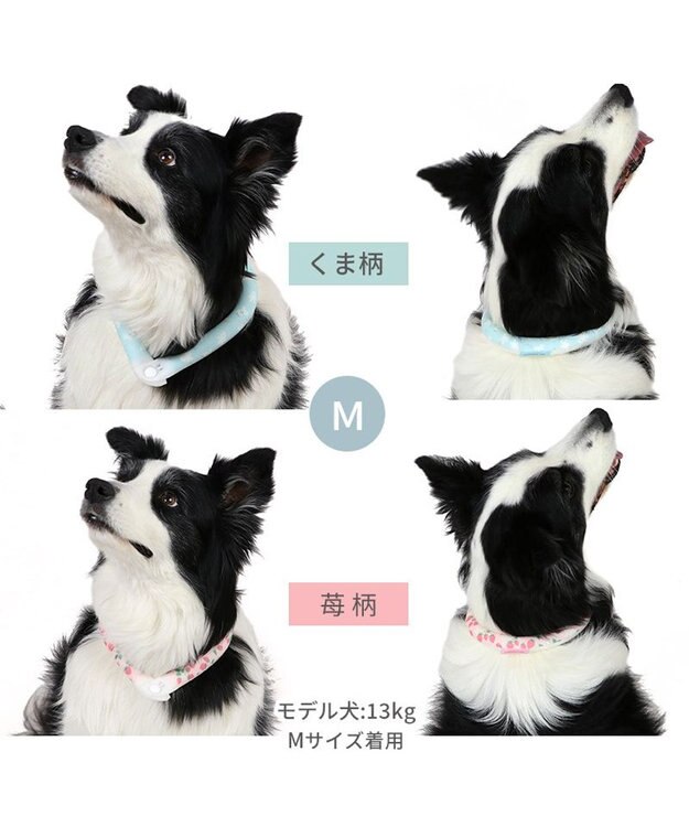 PET PARADISE ペットパラダイス 28℃クールリング SUO 《くま柄》 〔Ｍ〕 中型犬 くま