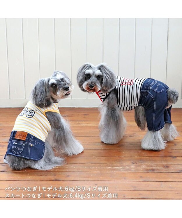 PET PARADISE Lee パンツつなぎ 《鹿子ボーダー》 小型犬 鹿子ボーダー