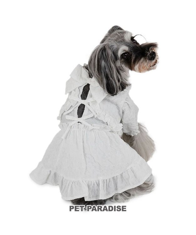 PET PARADISE cherircouture フリルリボン ワンピース 《ホワイト》 小型犬 ホワイト