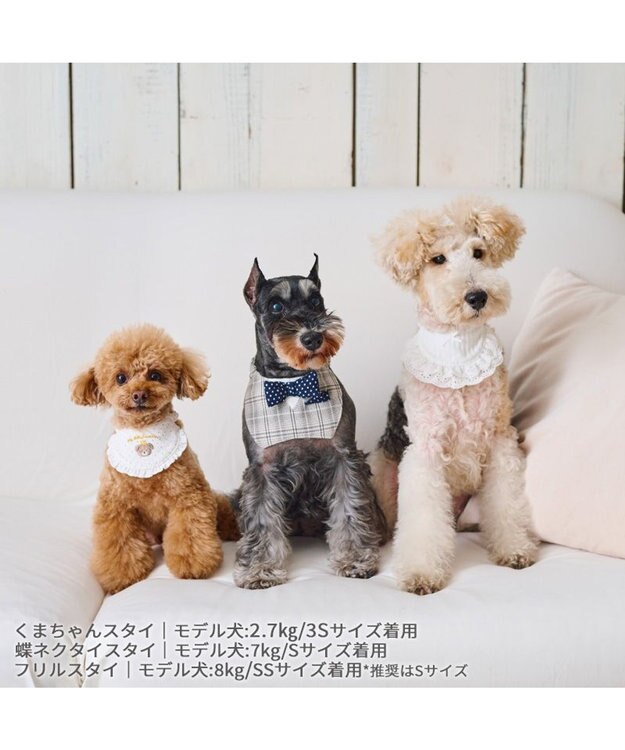 PET PARADISE ペットパラダイス くまちゃんスタイ 《王冠 》 小型犬 王冠