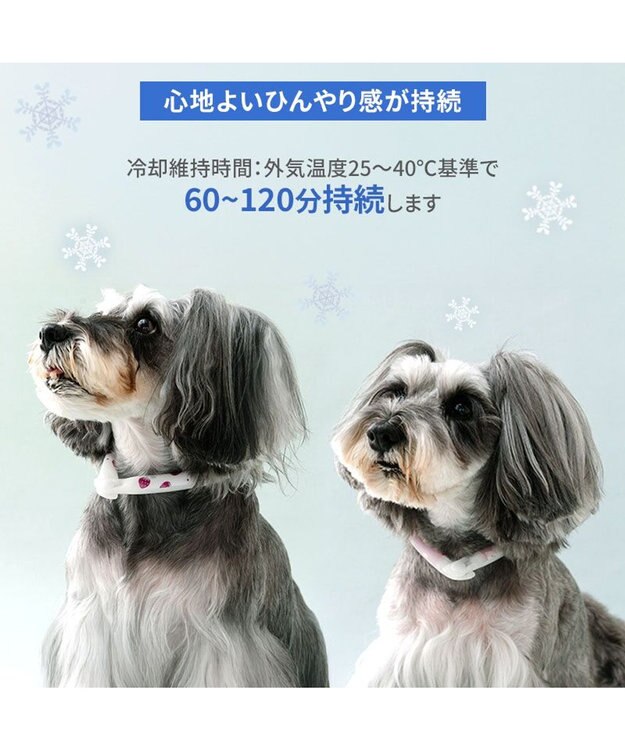 PET PARADISE ペットパラダイス 28℃クールリング  《くま》 ＳＭ 中型犬 くま柄