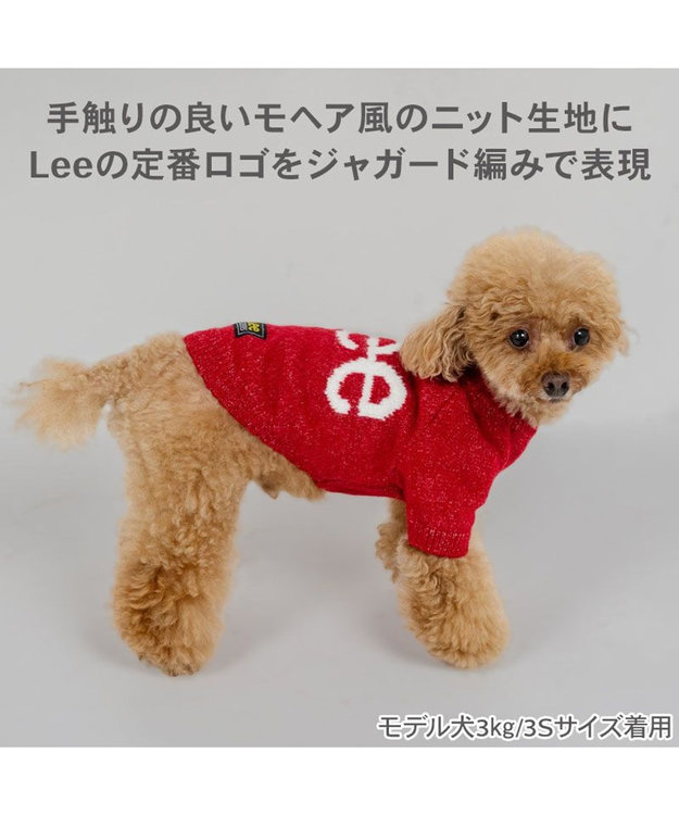 PET PARADISE Lee モヘア ロゴニット 《レッド》 小型犬 レッド