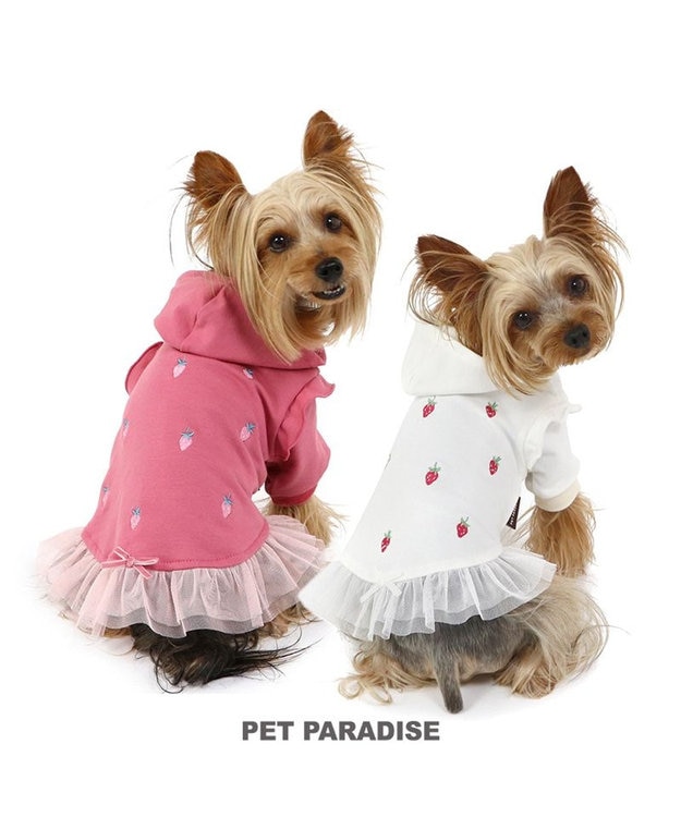PET PARADISE ペットパラダイス パーカー 苺柄 《ホワイト》 小型犬 ホワイト