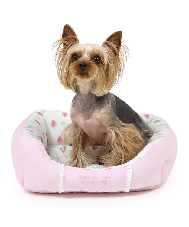 PET PARADISE ペットパラダイス クールカドラー 角型《いちご＆お花柄》 超小型犬 38×32cm S いちご＆お花柄