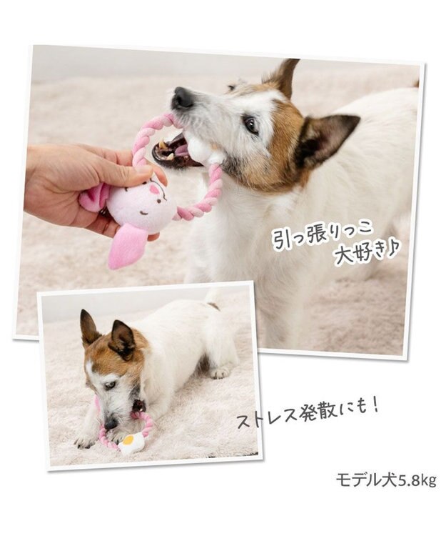 PET PARADISE ディズニー くまのプーさん ロープ トイ《プーさん/ピグレット/ティガー》 ピグレット