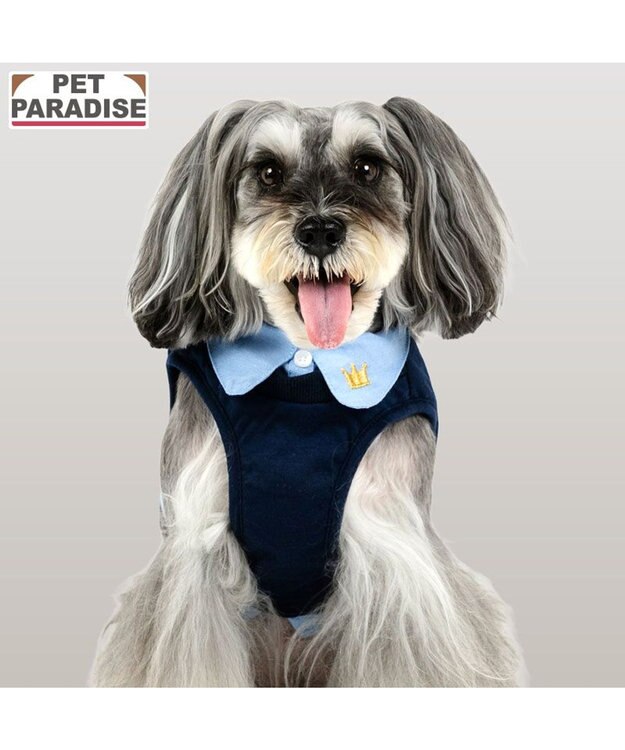 PET PARADISE ペットパラダイス 襟付きベストハーネス Ｓ ネイビー×ブルー