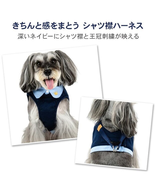PET PARADISE ペットパラダイス 襟付きベストハーネス Ｓ ネイビー×ブルー
