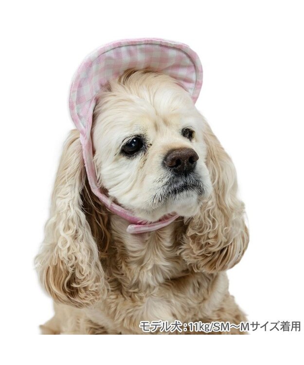 PET PARADISE ディズニー ミニーマウス なかよし キャップ 《ピンク》 中型犬 ピンク