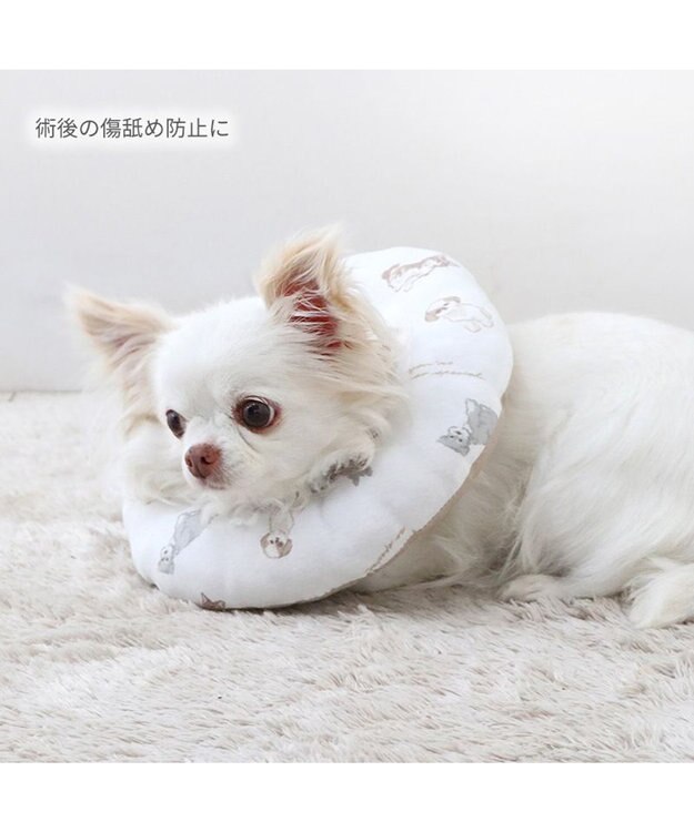 PET PARADISE ペットパラダイス makokoro エリザベスカラー 《わんちゃん柄》 ４Ｓ～３Ｓ 小型犬 ベージュ
