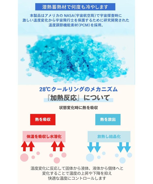 PET PARADISE ペットパラダイス 28℃クールリング  《いちご》 Ｌ 大型犬 いちご柄
