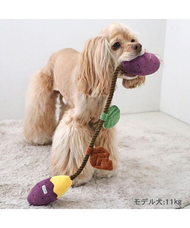 PET PARADISE ペットパラダイス やきいも ロープトイ 紫