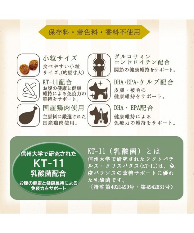 PET PARADISE ペットパラダイス 国産 ドッグフード ビオキッチン 1kg -