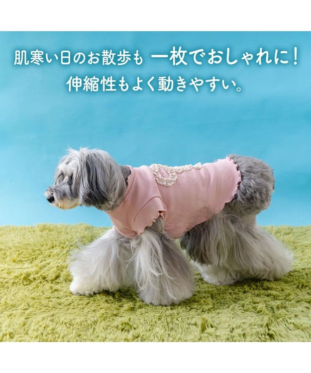 PET PARADISE ペットパラダイス リボン プレミアム ペティヒート Ｔシャツ 超小型犬 小型犬 ピンク