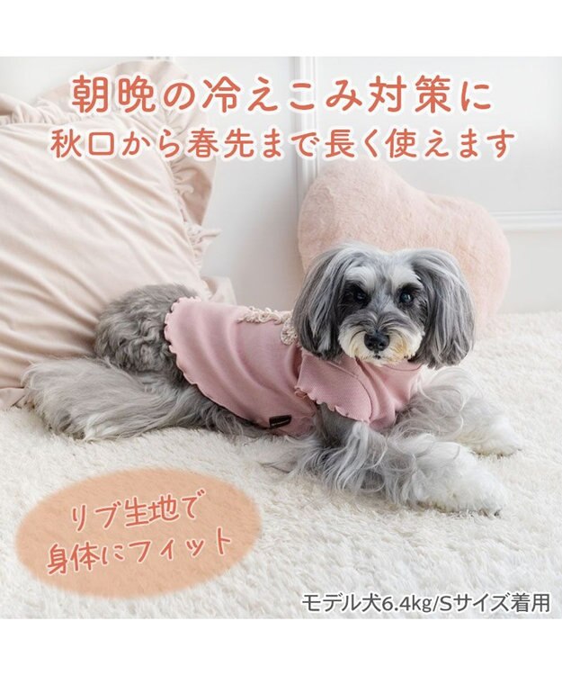 PET PARADISE ペットパラダイス リボン プレミアム ペティヒート Ｔシャツ 超小型犬 小型犬 ピンク