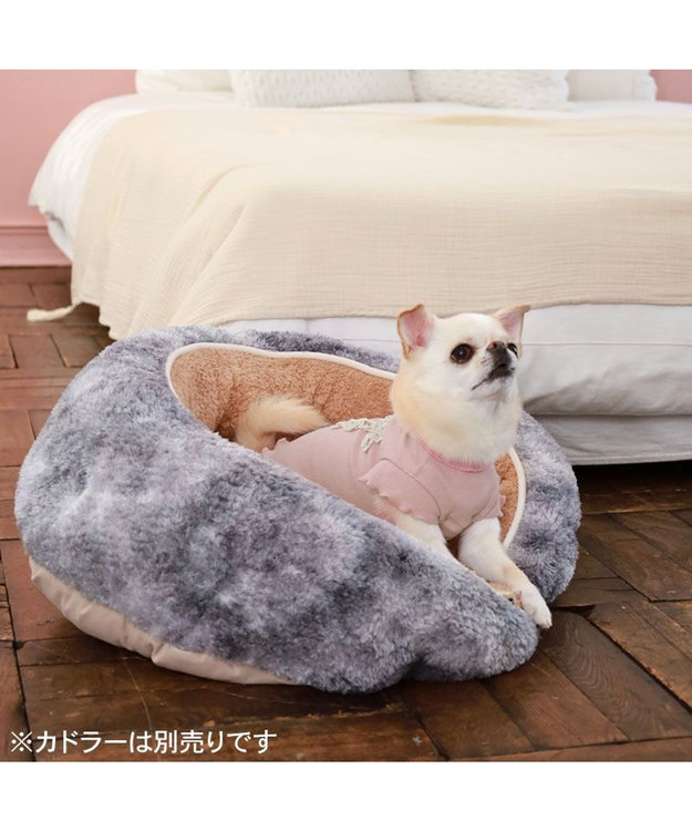 PET PARADISE ペットパラダイス リボン プレミアム ペティヒート Ｔシャツ 超小型犬 小型犬 ピンク