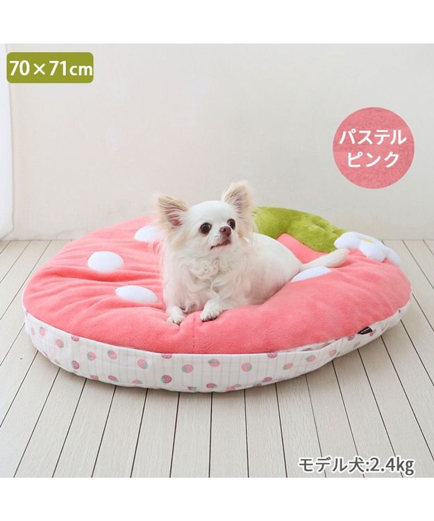 PET PARADISE ネット店限定 ペットパラダイス 春いちご クッション  M パステルピンク