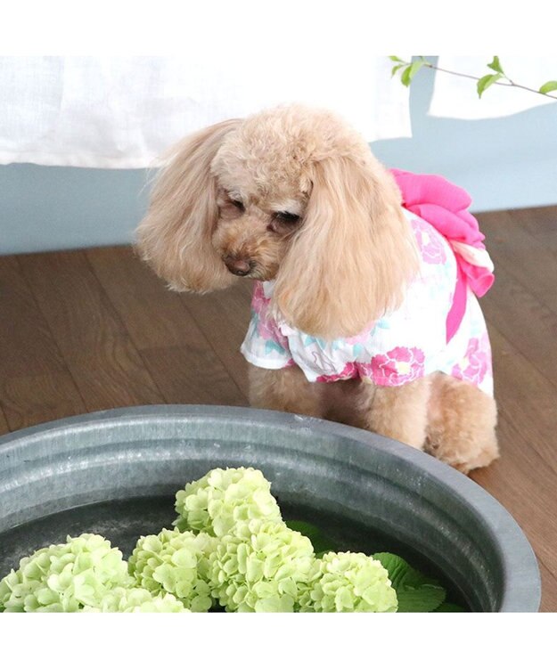 PET PARADISE 犬の服 夏 犬服 浴衣 牡丹柄 ピンク 【小型犬】 ピンク（淡）