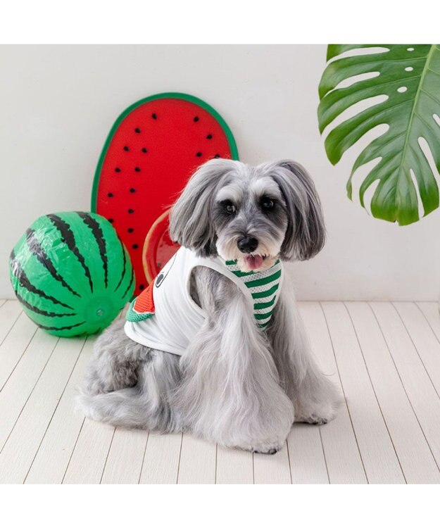PET PARADISE  スヌーピー スイカポケット タンクトップ 小型犬 ホワイト