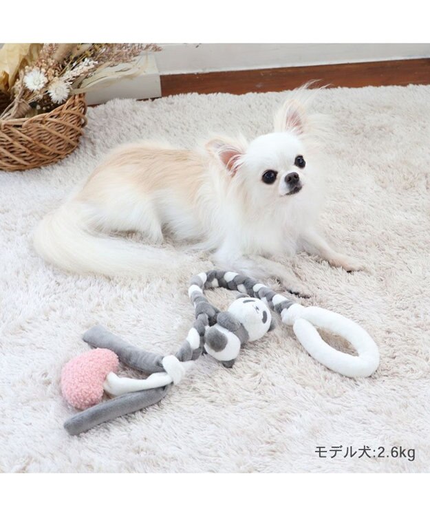 PET PARADISE  ペットパラダイス  編みロープトイ 《パンダ》 グレー