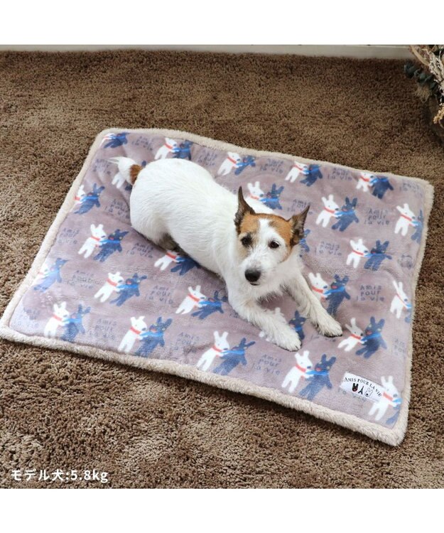 PET PARADISE リサとガスパール 遠赤外線 ボアマット 《 であい柄 》 (80×60cm) であい柄