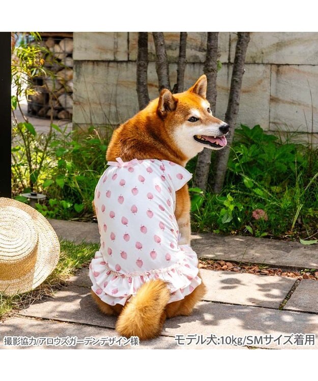 PET PARADISE ペットパラダイス タッチワンクールプラス Tシャツ 《いちご》 中型犬 大型犬 ホワイト×ピンク