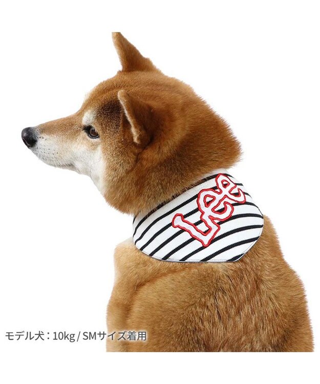 PET PARADISE Ｌｅｅ 冷感バンダナ 《ボーダー》 中型犬 ボーダー