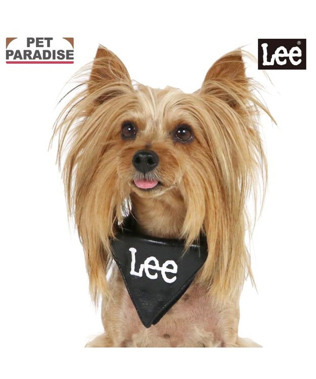 PET PARADISE Ｌｅｅ クッション バンダナ 首輪 Ｓ ブラック