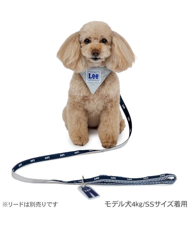 PET PARADISE Lee 両面バンダナ 首輪 ＳＳ グレー