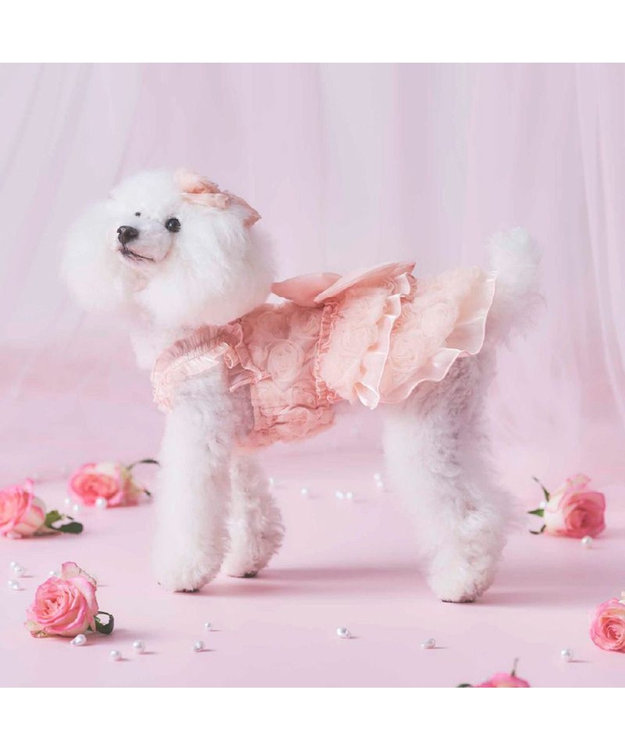 PET PARADISE cherircouture メニーローズ ワンピース ピンク 小型犬 ピンク