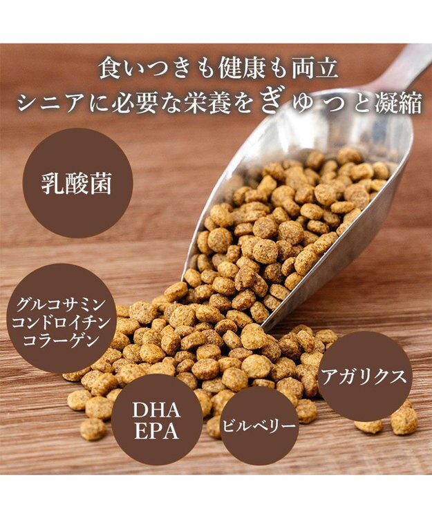 PET PARADISE ビオキッチン エイジングネオ ５００ｇ 0