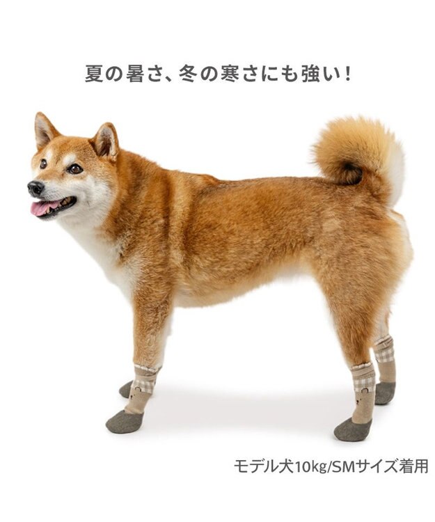 PET PARADISE ペットパラダイス くまちゃん フィット靴 ＳＭ ベージュ×カーキ