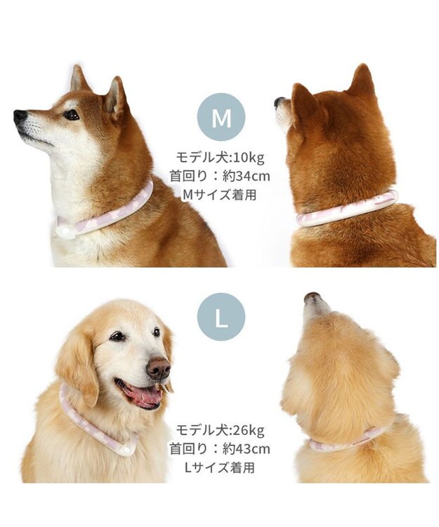 PET PARADISE ペットパラダイス 28℃クールリング  《くま》 Ｍ 大型犬 くま柄