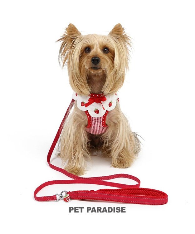 PET PARADISE ペットパラダイス ハーネス＆リード  スカラップカラー《いちご柄 》 ＳＳ 小型犬 いちご柄