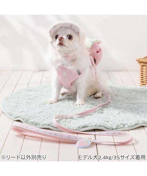 PET PARADISE ペットパラダイス 花苺柄 リード ＳＳ～Ｓ ピンク