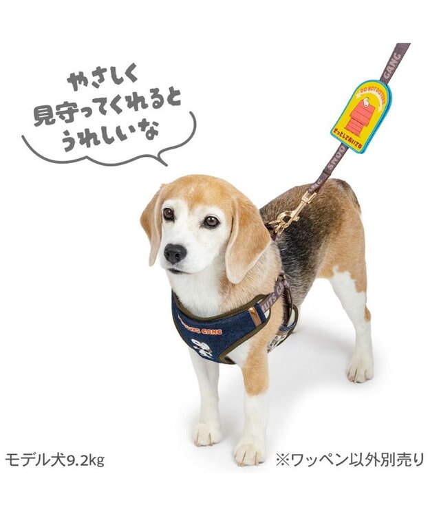 PET PARADISE スヌーピー メッセージ ワッペン  《そっとして》 そっとして