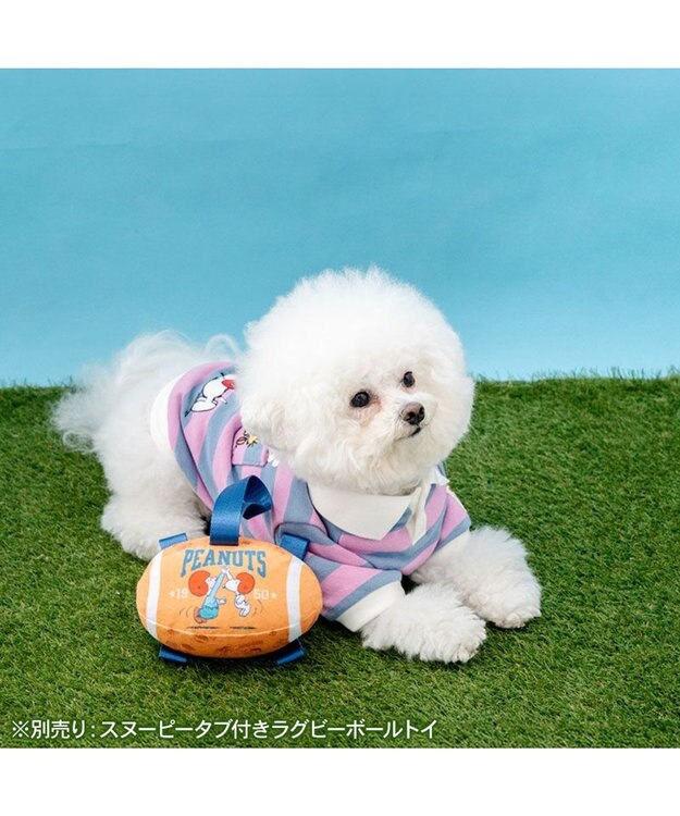 PET PARADISE スヌーピー ラガー シャツ 小型犬 グレー×ピンク
