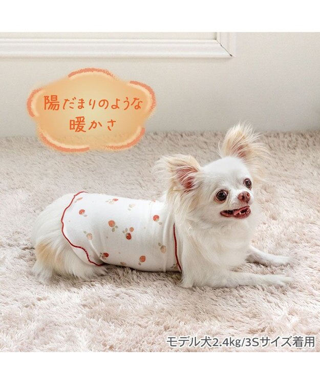 PET PARADISE ペットパラダイス ペティヒート 天竺 腹巻 《いちご柄》 小型犬 ホワイト